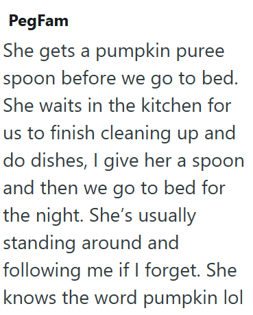 PegFam She gets a pumpkin puree spoon before we go to bed. She waits in the kitchen for us to finish cleaning up and do dishes, I give her a spoon and then we go to bed for the night. She's usually standing around and following me if I forget. She knows the word pumpkin lol