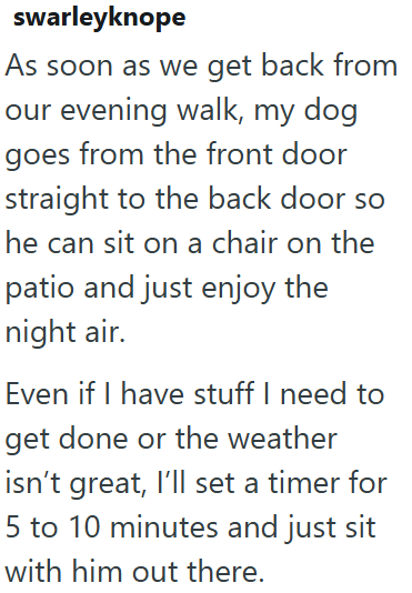 swarleyknope As soon as we get back from our evening walk, my dog goes from the front door straight to the back door so he can sit on a chair on the patio and just enjoy the night air. Even if I have stuff I need to get done or the weather isn't great, I'll set a timer for 5 to 10 minutes and just sit with him out there.