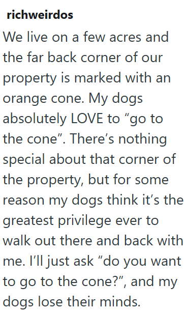 richweirdos We live on a few acres and the far back corner of our property is marked with an orange cone. My dogs absolutely LOVE to "go to the cone". There's nothing special about that corner of the property, but for some reason my dogs think it's the greatest privilege ever to walk out there and back with me. I'll just ask "do you want to go to the cone?", and my dogs lose their minds.