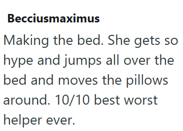 Becciusmaximus Making the bed. She gets so hype and jumps all over the bed and moves the pillows around. 10/10 best worst helper ever.