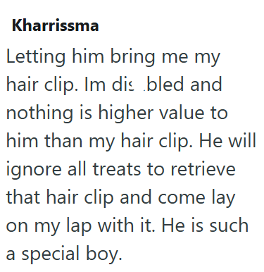 Kharrissma Letting him bring me my hair clip. Im dis bled and nothing is higher value to him than my hair clip. He will ignore all treats to retrieve that hair clip and come lay on my lap with it. He is such a special boy.