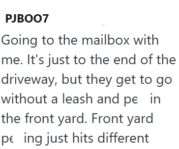 PJBOO7 Going to the mailbox with me. It's just to the end of the driveway, but they get to go without a leash and på in the front yard. Front yard peing just hits different