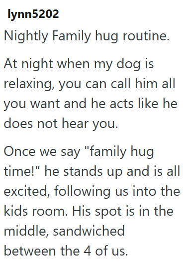 lynn5202 Nightly Family hug routine. At night when my dog is relaxing, you can call him all you want and he acts like he does not hear you. Once we say "family hug time!" he stands up and is all excited, following us into the kids room. His spot is in the middle, sandwiched between the 4 of us.