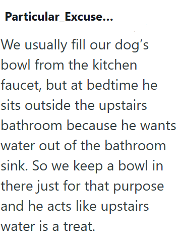 Particular_Excuse... We usually fill our dog's bowl from the kitchen faucet, but at bedtime he sits outside the upstairs bathroom because he wants water out of the bathroom sink. So we keep a bowl in there just for that purpose and he acts like upstairs water is a treat.