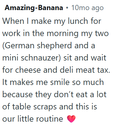 Amazing-Banana • 10mo ago When I make my lunch for work in the morning my two (German shepherd and a mini schnauzer) sit and wait for cheese and deli meat tax. It makes me smile so much because they don't eat a lot of table scraps and this is our little routine