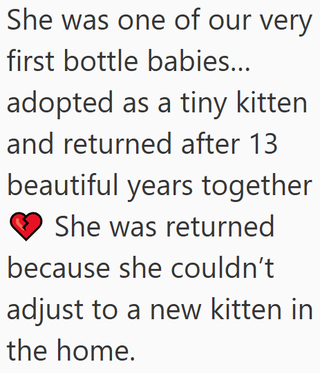She was one of our very first bottle babies... adopted as a tiny kitten and returned after 13 beautiful years together She was returned because she couldn't adjust to a new kitten in the home.
