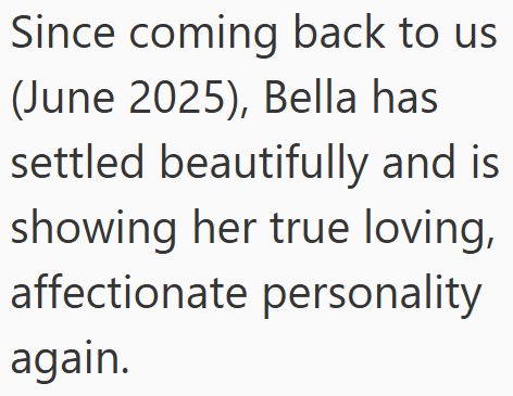Since coming back to us (June 2025), Bella has settled beautifully and is showing her true loving, affectionate personality again.