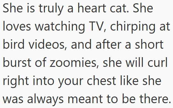 She is truly a heart cat. She loves watching TV, chirping at bird videos, and after a short burst of zoomies, she will curl right into your chest like she was always meant to be there.