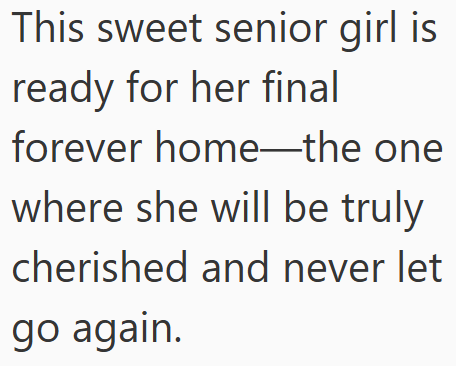 This sweet senior girl is ready for her final forever home-the one where she will be truly cherished and never let go again.