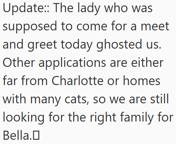 Update:: The lady who was supposed to come for a meet and greet today ghosted us. Other applications are either far from Charlotte or homes with many cats, so we are still looking for the right family for Bella.