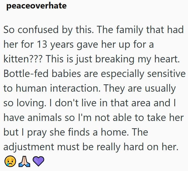 peaceoverhate So confused by this. The family that had her for 13 years gave her up for a kitten??? This is just breaking my heart. Bottle-fed babies are especially sensitive to human interaction. They are usually so loving. I don't live in that area and I have animals so I'm not able to take her but I pray she finds a home. The adjustment must be really hard on her. A