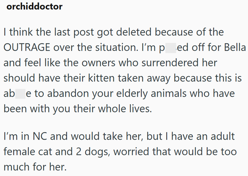 orchiddoctor I think the last post got deleted because of the OUTRAGE over the situation. I'm pred off for Bella and feel like the owners who surrendered her should have their kitten taken away because this is ab e to abandon your elderly animals who have been with you their whole lives. I'm in NC and would take her, but I have an adult female cat and 2 dogs, worried that would be too much for her.