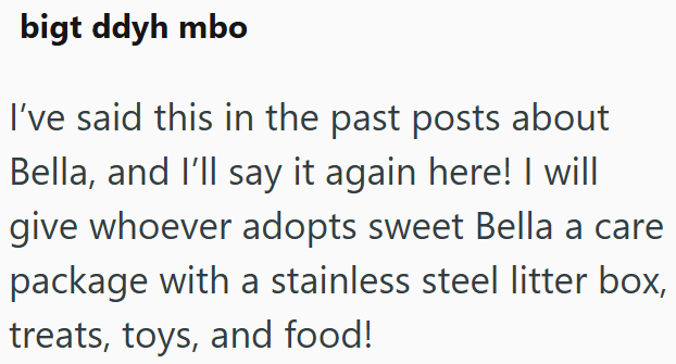 bigt ddyh mbo I've said this in the past posts about Bella, and I'll say it again here! I will give whoever adopts sweet Bella a care package with a stainless steel litter box, treats, toys, and food!