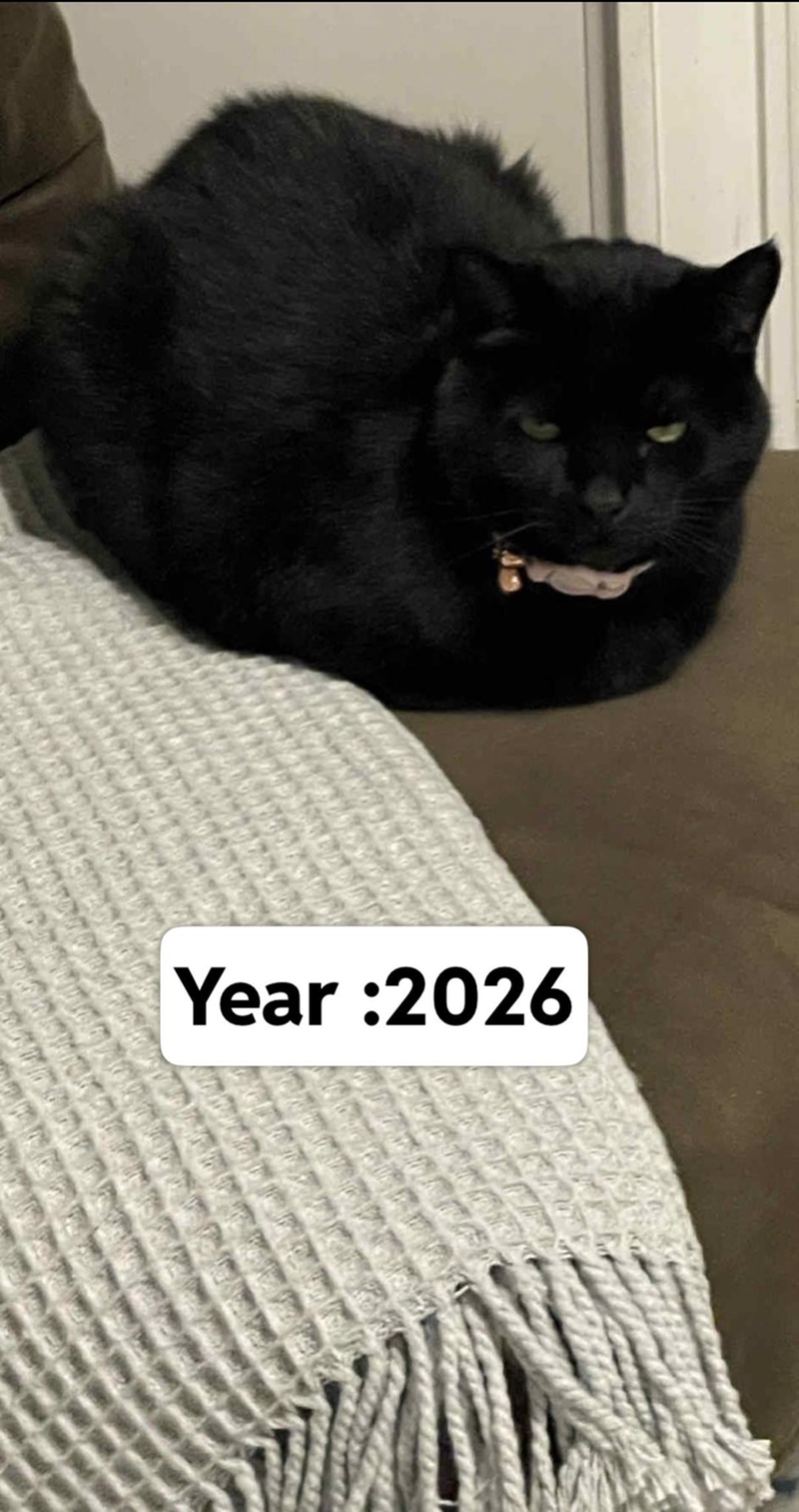 Year:2026