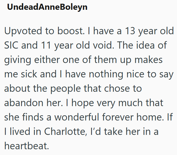 UndeadAnneBoleyn Upvoted to boost. I have a 13 year old SIC and 11 year old void. The idea of giving either one of them up makes me sick and I have nothing nice to say about the people that chose to abandon her. I hope very much that she finds a wonderful forever home. If I lived in Charlotte, I'd take her in a heartbeat.