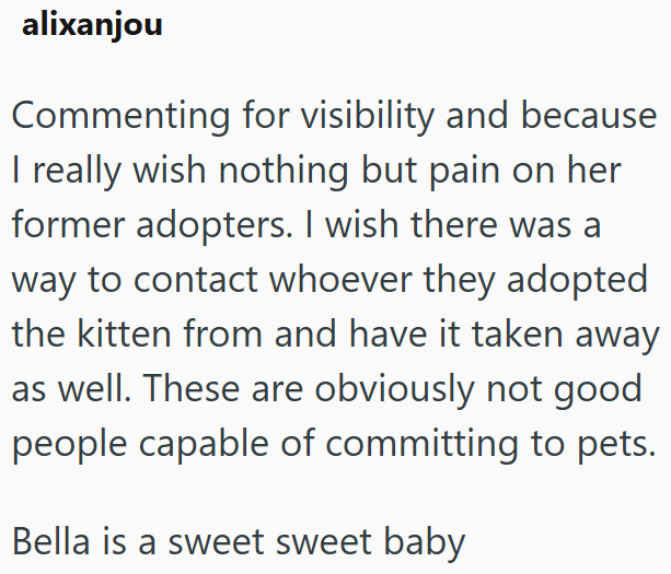 alixanjou Commenting for visibility and because I really wish nothing but pain on her former adopters. I wish there was a way to contact whoever they adopted the kitten from and have it taken away as well. These are obviously not good people capable of committing to pets. Bella is a sweet sweet baby
