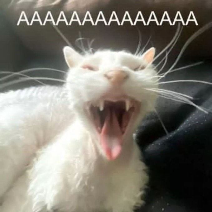 AAAAAAAAAAAAAA
