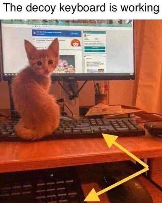 The decoy keyboard is working