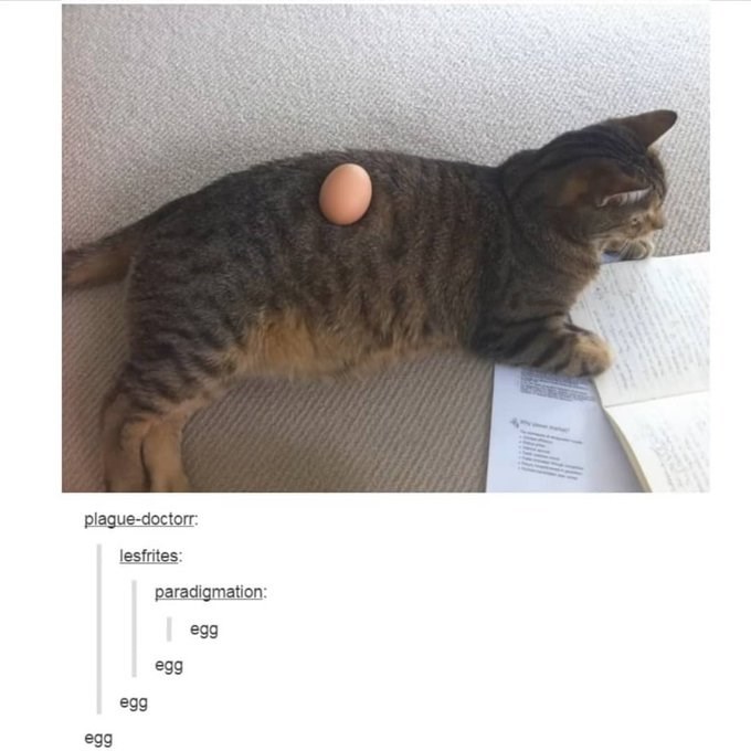 plague-doctorr: lesfrites: paradigmation: egg egg egg egg