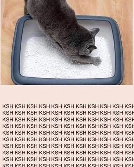 KSH KSH KSH KSH KSH KSH KSH KSH KSH KSH KSH KSH KSH KSH KSH KSH KSH KSH KSH KSH KSH KSH KSH KSH KSH KSH KSH KSH KSH KSH KSH KSH KSH KSH KSH KSH KSH KSH KSH KSH KSH KSH KSH KSH KSH KSH KSH KSH KSH KSH KSH KSH KSH KSH KSH KSH KSH KSH KSH KSH KSH KSH KSH KSH KSH KSH KSH KSH KSH KSH KSH KSH KSH KSH KSH KSH KSH KSH KSH KSH KSH KSH KSH KSH KSH KSH KSH KSH KSH KSH KSH KSH KSH KSH KSH KSH KSH KSH KSH KSH KSH KSH KSH KSH KSH KSH KSH KSH KSH KSH