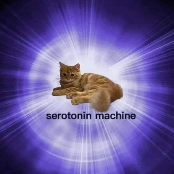 serotonin machine