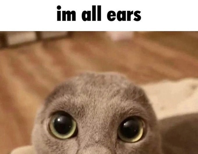 im all ears