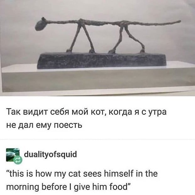 Так видит себя мой кот, когда я с утра не дал ему поесть dualityofsquid "this is how my cat sees himself in the morning before I give him food"