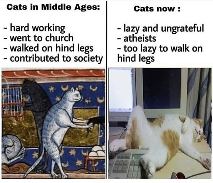 Cats in Middle Ages: - hard working went to church - walked on hind legs contributed to society Cats now: - lazy and ungrateful - atheists - too lazy to walk on hind legs