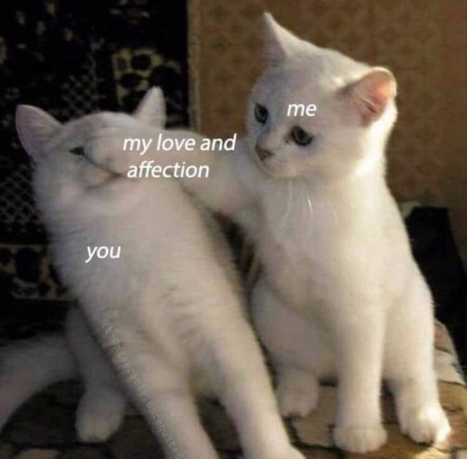 you my love and affection me