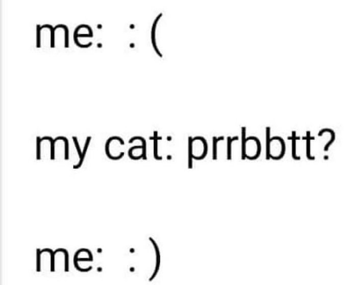 me: :( my cat: prrbbtt? me: :)