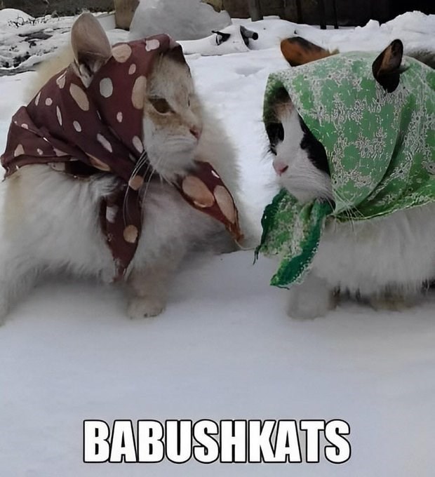 BABUSHKATS