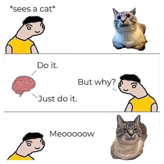 *sees a cat* Do it. Just do it. But why? Meooooow