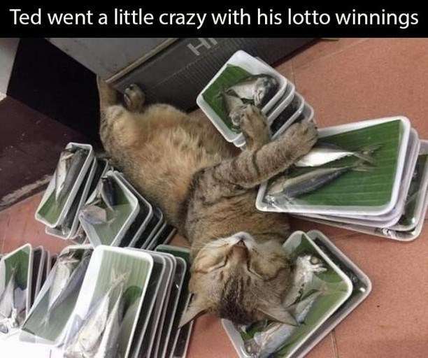 Ted went a little crazy with his lotto winnings