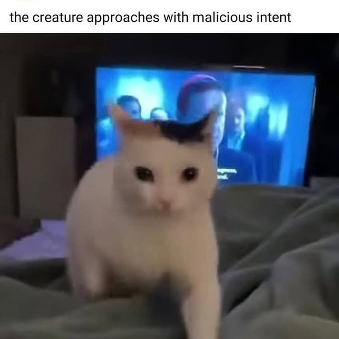 the creature approaches with malicious intent