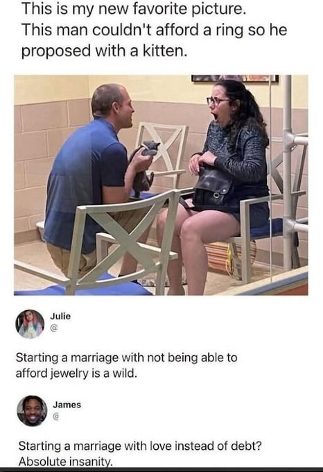 Julie This is my new favorite picture. This man couldn't afford a ring so he proposed with a kitten. Starting a marriage with not being able to afford jewelry is a wild. James Starting a marriage with love instead of debt? Absolute insanity. ΟΙ