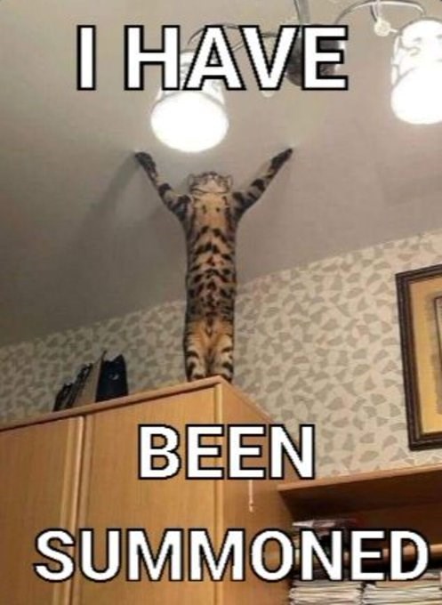 I HAVE BEEN SUMMONED