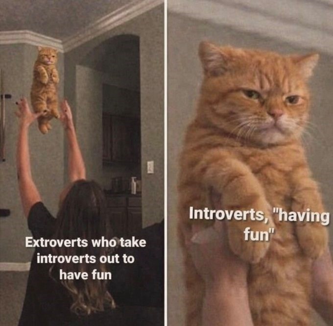 Extroverts who take introverts out to have fun Introverts, "having fun"