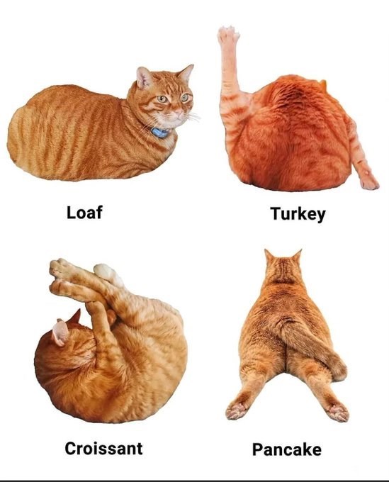 Loaf Turkey Croissant Pancake