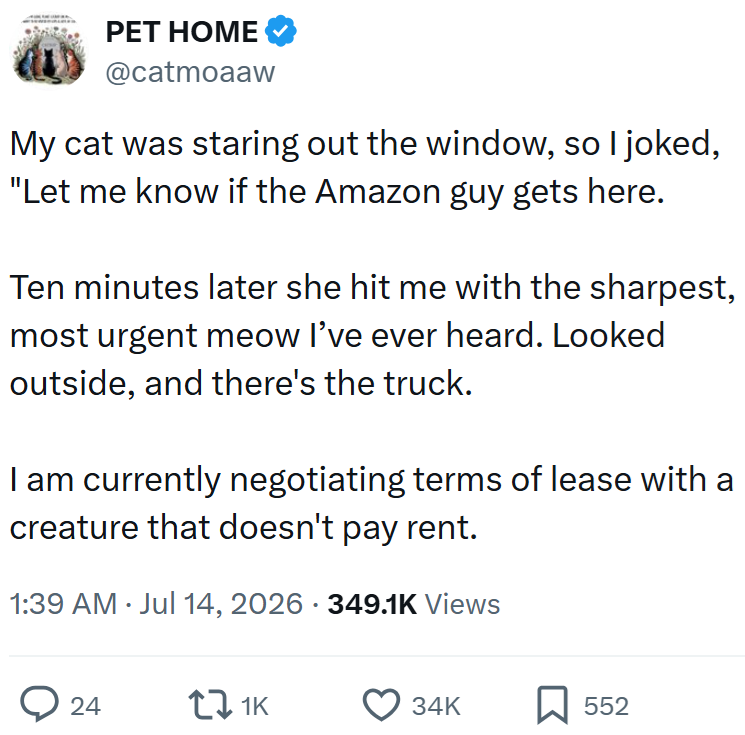 PET HOME @catmoaaw My cat was staring out the window, so I joked, "Let me know if the Amazon guy gets here. Ten minutes later she hit me with the sharpest, most urgent meow I've ever heard. Looked outside, and there's the truck. I am currently negotiating terms of lease with a creature that doesn't pay rent. 1:39 AM ⚫ Jul 14, 2026 349.1K Views 24 171K 34K 552