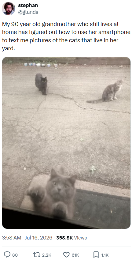 stephan @glands My 90 year old grandmother who still lives at home has figured out how to use her smartphone to text me pictures of the cats that live in her yard. 3:58 AM - Jul 16, 2026-358.8K Views 80 12.2K 61K 1.1K