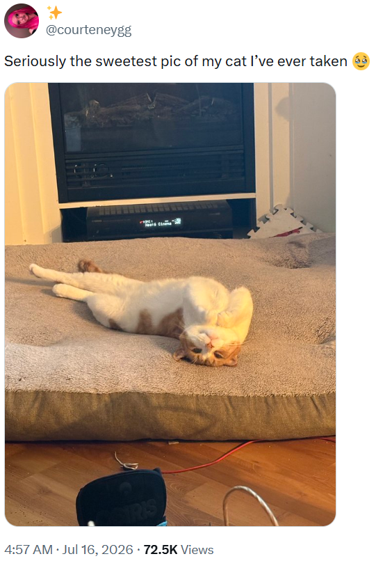 @courteneygg Seriously the sweetest pic of my cat I've ever taken Heels Cinna . • 4:57 AM · Jul 16, 2026 72.5K Views