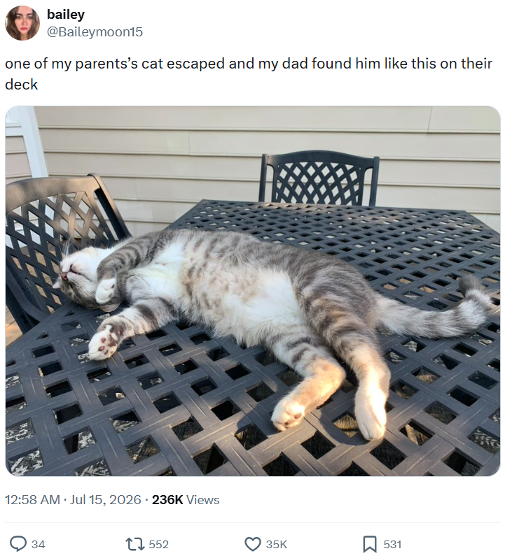 bailey @Baileymoon15 one of my parents's cat escaped and my dad found him like this on their deck • 12:58 AM ⚫ Jul 15, 2026 236K Views 34 1552 35K 531