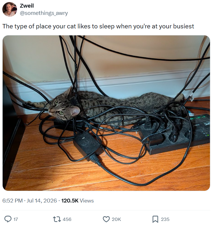 Zweil @somethings_awry The type of place your cat likes to sleep when you're at your busiest 6:52 PM ⚫ Jul 14, 2026 120.5K Views 17 456 20K 235