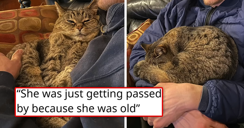 "She was just getting passed by because she was old"