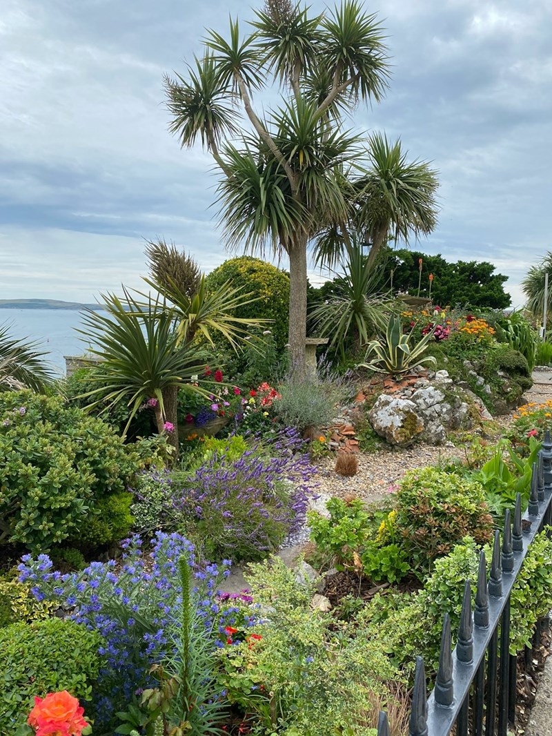 A landscaped backyard garden showcases mature trees, shrubs, and plants that can become the focus of neighbor property disputes.