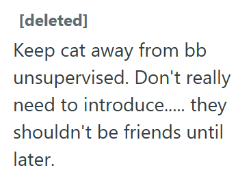 [deleted] Keep cat away from bb unsupervised. Don't really need to introduce..... they shouldn't be friends until later.