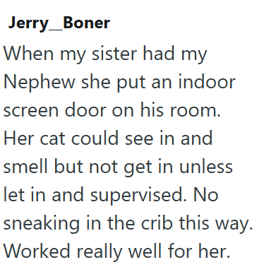 Jerry_Boner When my sister had my Nephew she put an indoor screen door on his room. Her cat could see in and smell but not get in unless let in and supervised. No sneaking in the crib this way. Worked really well for her.
