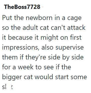 TheBoss7728 Put the newborn in a cage so the adult cat can't attack it because it might on first impressions, also supervise them if they're side by side for a week to see if the bigger cat would start some sl t