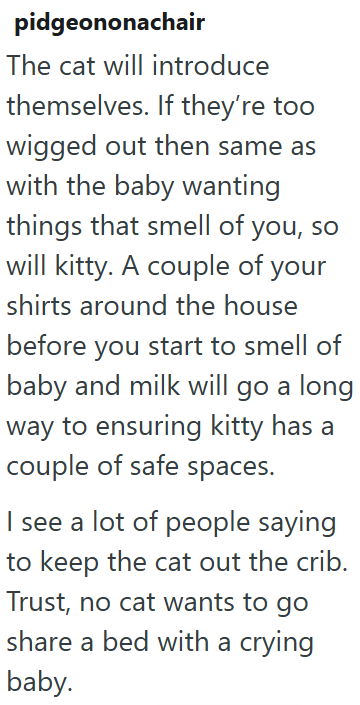 pidgeononachair The cat will introduce themselves. If they're too wigged out then same as with the baby wanting things that smell of you, so will kitty. A couple of your shirts around the house before you start to smell of baby and milk will go a long way to ensuring kitty has a couple of safe spaces. I see a lot of people saying to keep the cat out the crib. Trust, no cat wants to go share a bed with a crying baby.