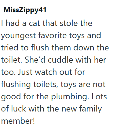 MissZippy41 I had a cat that stole the youngest favorite toys and tried to flush them down the toilet. She'd cuddle with her too. Just watch out for flushing toilets, toys are not good for the plumbing. Lots of luck with the new family member!
